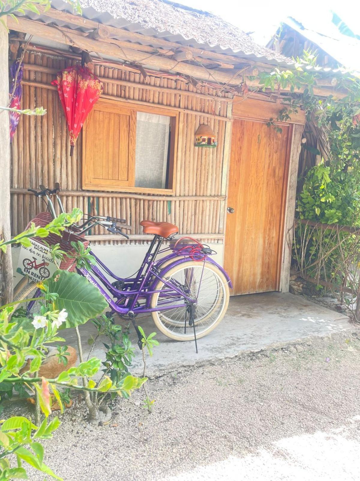Cabanas Alma Verde バカラル エクステリア 写真