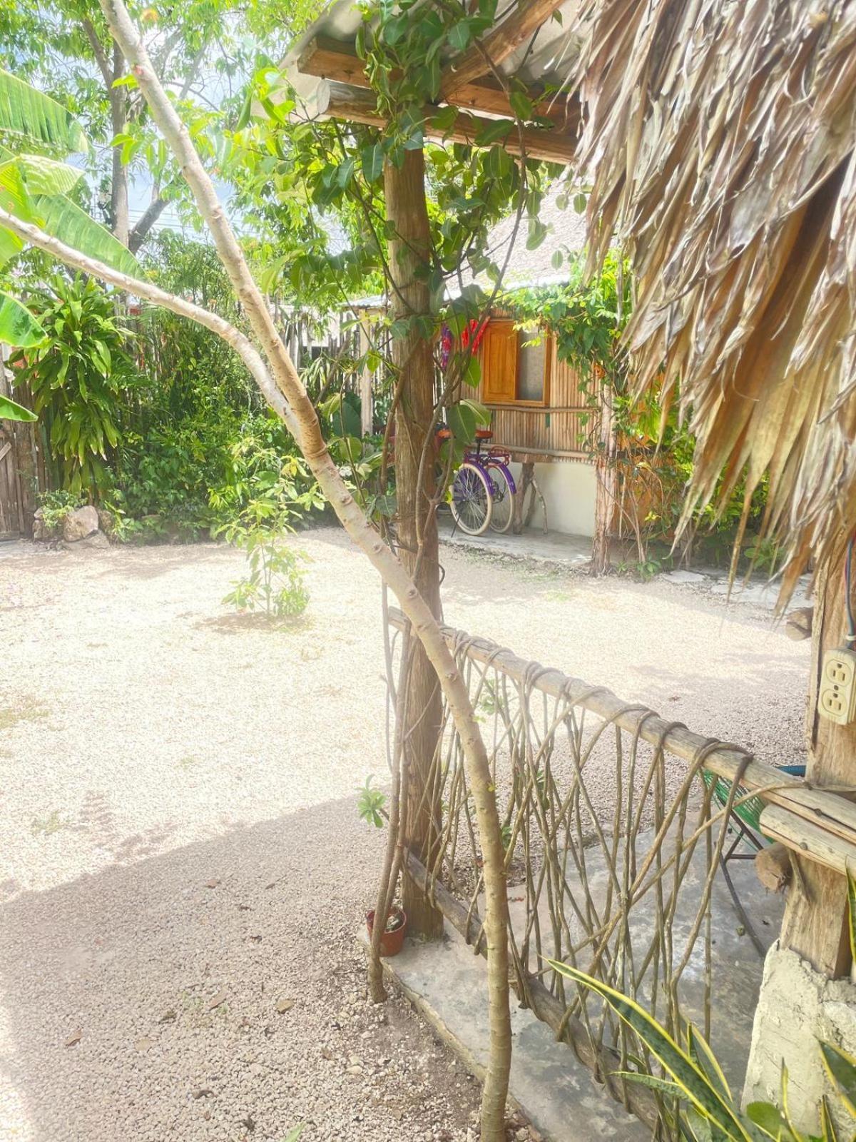 Cabanas Alma Verde バカラル エクステリア 写真